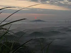 仅可用做壁纸