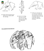 非洲象手工折纸 大象折纸DIY图解教程