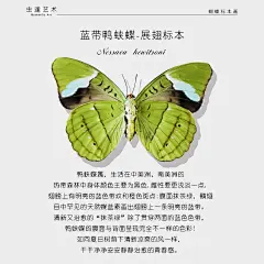 tb_image_share_1740815017136