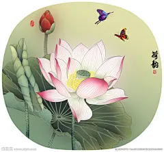 团扇扇面荷花荷韵