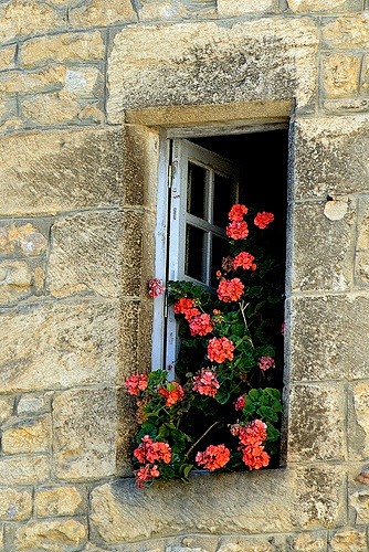 Sarlat roses ~ Franc...