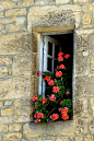 Sarlat roses ~ France