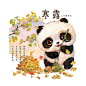 【24节气.深秋】秋分.寒露.霜降  我们创作的这套“二十四节气”熊猫插画每一张还融入了植物元素。“此生无悔入华夏，来世还在种花家。” ​
秋分——桂花
寒露——银杏
霜降——柿子