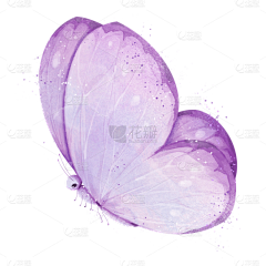 用户WEaG0qYi采集到紫色素材