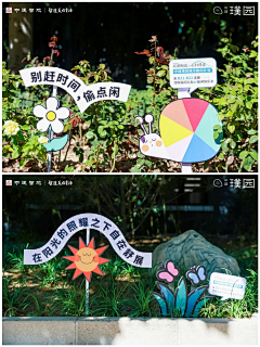4LOo00yw采集到图片