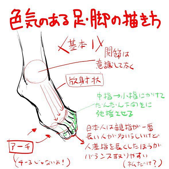腿部画法基础讲座 – 画出协调的大腿根、...