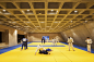 安特卫普体育学校，Topsportschool Antwerpen / Compagnie O architects -  谷德设计网 : gooood是中国最受欢迎与最有影响力的高品质建筑景观设计门户与行业平台。高品质门户传播世界建筑、景观、设计与创意； 行业平台提供行业品牌战略提升服务，企业招聘服务，企业项目对接服务，建材信息与品牌服务等业务。