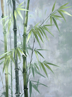 花瓣素材-粉刷匠采集到其他图片
