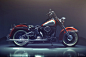 The Vegas-born Harley Davidson Electra Glide :  This Harley Davidson was exchanged for a watch some years ago, in Las Vegas. I can't name it's original owner. All I know is that watch was worth some money... Now the bike is in Portugal and lived in my stu