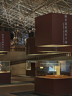 小薇1029采集到恐龙元素
