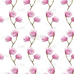 水彩木兰枝干无缝图案，手绘白底插图。季节设计的纺织品，印刷，包装纸。