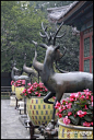国庆北京游之——颐和园,多图, 澹台若木旅游攻略