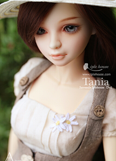 Ivanessa采集到BJD-Ip