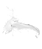 png透明背景素材#牛奶 创意牛奶形态 喷溅  水
