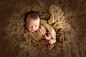 新生儿摄影师Yaki的照片 - 微相册