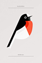 Flora Fauna: Birds Edition