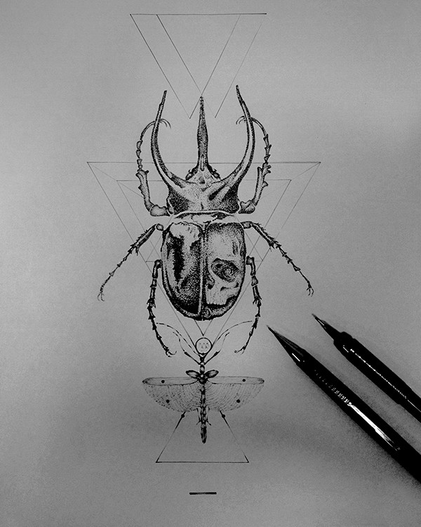 Pencil Drawing IV : ...