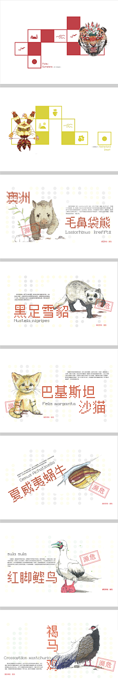清是acan采集到插画