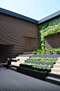 Gorgeous steps planted up with a wall garden to match | Adamchristopherdesign.co.uk