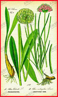 油画风 【酷图网】手绘古风植物,彩色油画,油画风景,绿草鲜花,植物,树草,古风风景,植物元素,植物素材,树枝,树枝花鸟,树枝素材,树枝插画,插画元素,插画素材,插画装饰,节气元素素材,手绘树枝,手绘插图,春天元素,春天素材,初春,初春元素,初春素材,立春,夏季元素,植树节元素,植树节素材,古风植物,图案
