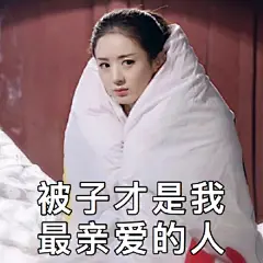 赵丽颖爆笑寒地冻表情包