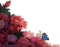edd8356924f836017736f567ac16bd77100b8821110219-GsSb1G_fw1200