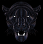 lines gold blue panther wild animal face stripes moire effect diamond  White black