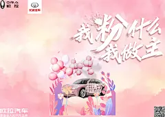 人人都爱的欧克闪电猫汽车(我的粉我做主)