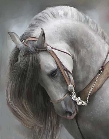 Mystical horse<3