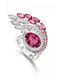 楗板搧_鎵嬮グ_鎴掓寚_Piaget浼埖_Piaget_pop_SH4752_015_43f018c4da1c6e1e65c9a41d91a93a71