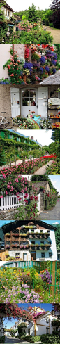 法国花园小镇吉维尼