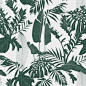 Elegant seamless pattern with line tropical plants.