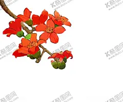 木棉花 【酷图网】木棉花,木棉素材,花,木棉树,木棉底纹,广州市花,花城,英雄花,攀枝花,木棉背景,花卉,园林景观,春天