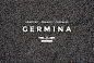 GERMINA 食品品牌设计
西野设计培训官方微博地址：http://weibo.com/HEREdesigntraining  
#室内设计# #设计# #VMD# #食品陈列设计# #美食店设计# #空间设计# #创意设计# #欧美风格#