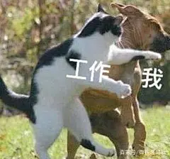 最全「生活与我」表情包合集，是谁把我摁在光滑的地上摩擦？