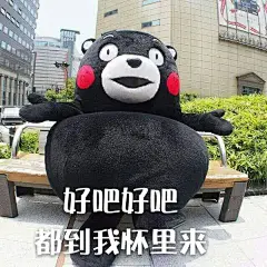 拥有丰富的表情包是一种什么样的体验？ - X 是种怎样的体验 - 知乎