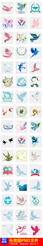 白鸽标志动物鸽子图案和平鸽信鸽png素材