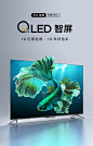 TCL 65T8E-Pro量子点电视 65英寸高清超薄全面屏液晶网络平板电视-tmall.com天猫