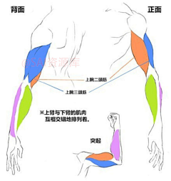 Fu_you采集到教程~素材~相关~~