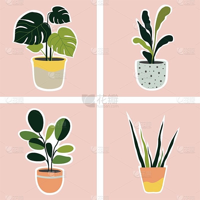 花盆里的一套室内植物。矢量插图。贴纸。