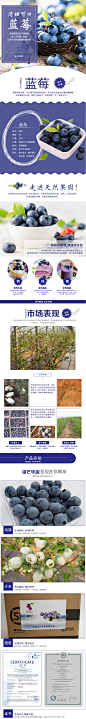 【果沁】蓝莓125g 8盒 青岛特产水果蓝色浆果蓝莓_微海汇