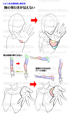 jtscysm111采集到人体结构