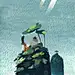 嗟鱼2333
