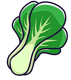阳台也能种蔬菜~这些蔬菜现在种刚刚好