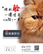 瘦脸针
