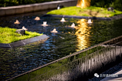 lamoooo采集到水景