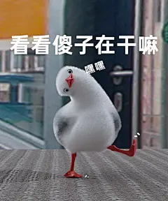 海鸥老六表情包｜看看傻子在干嘛～