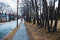 Empty narrow alley with leafless trees and residential houses located on street in city in overcast day