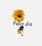 (1) Pinterest