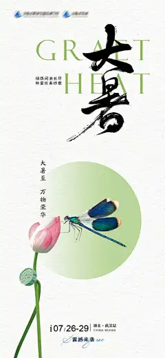 大暑-大暑,荷叶,荷花,蜻蜓